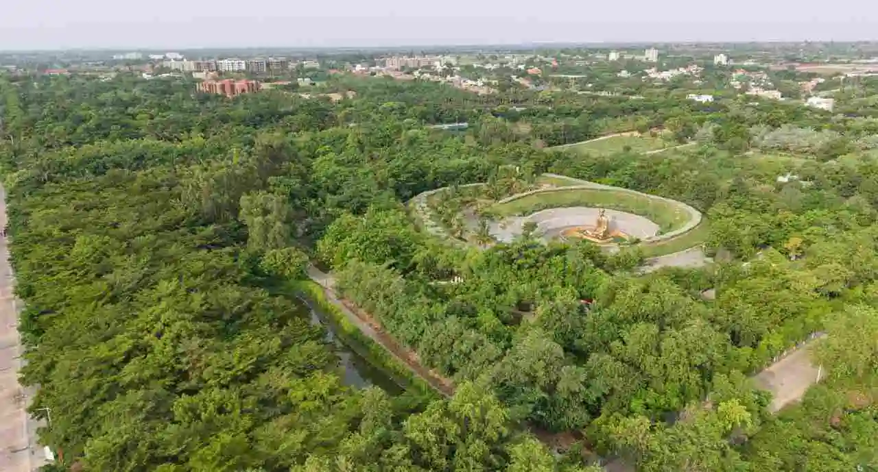 Kanha Shanti Vanam lush rainforest after