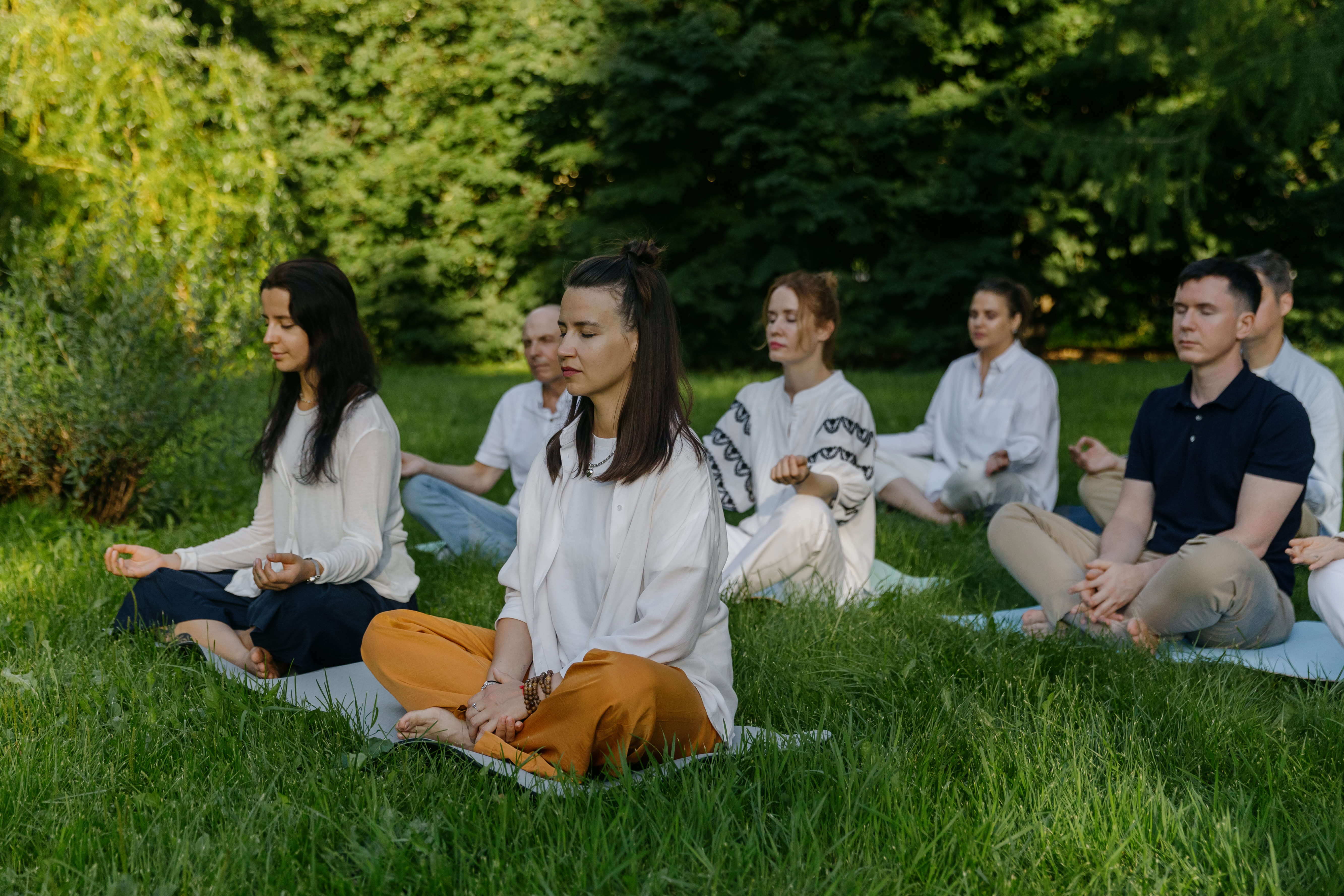 240720_vb_152_2_1_ea68465594.jfif