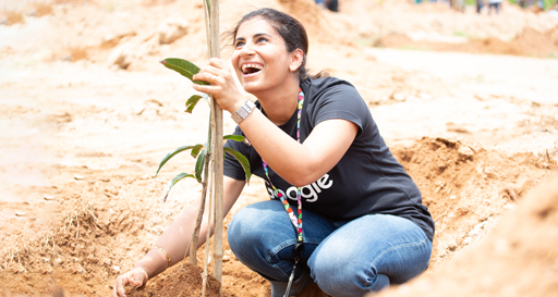 Eco-tour & tree plantation