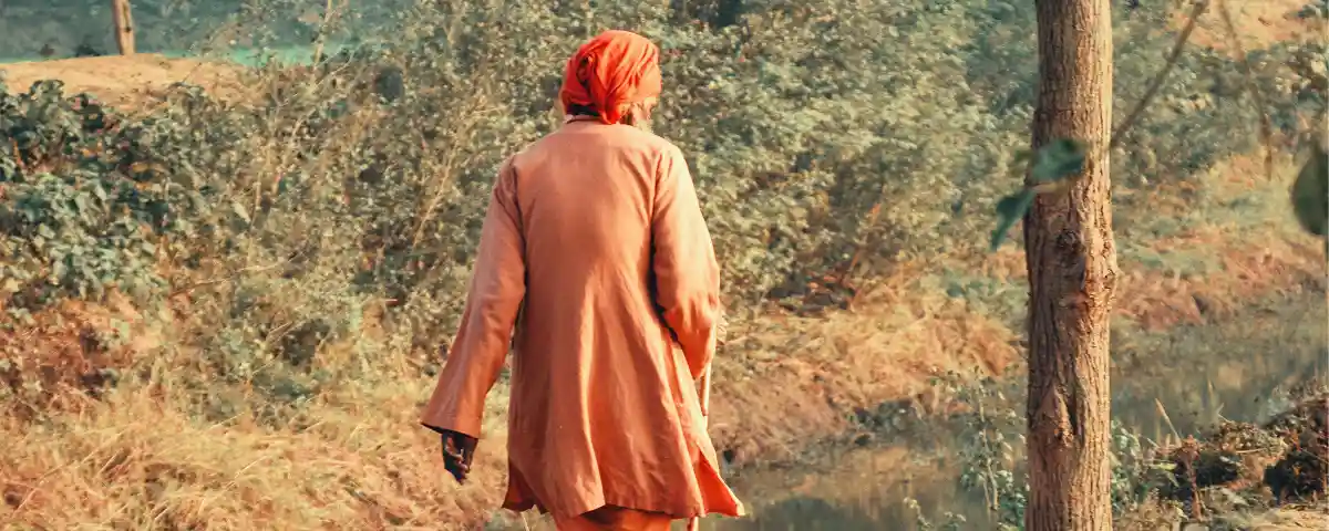 Vanishing sacred forests of Vraj