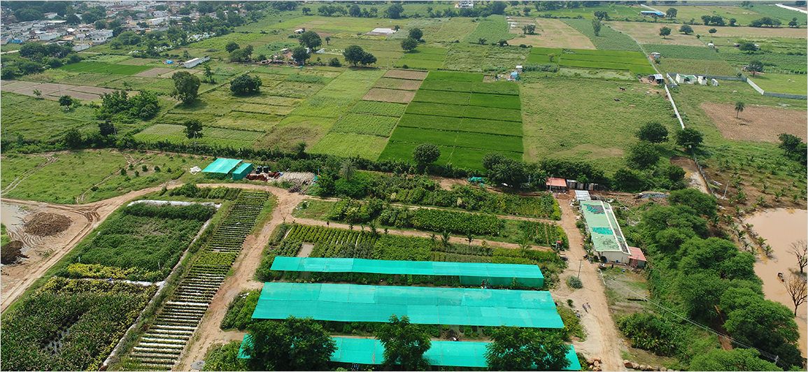 Kanha Shantivanam environment