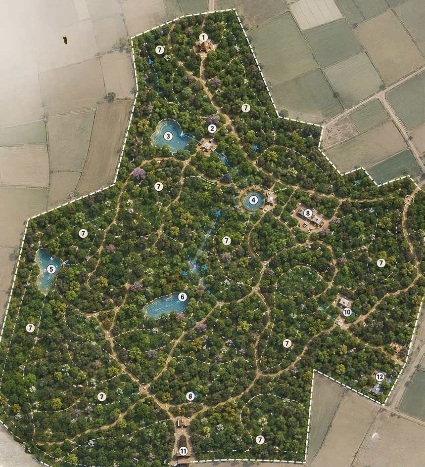 Bhandir Van forest restoration