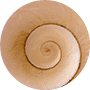 relax-icon-logo
