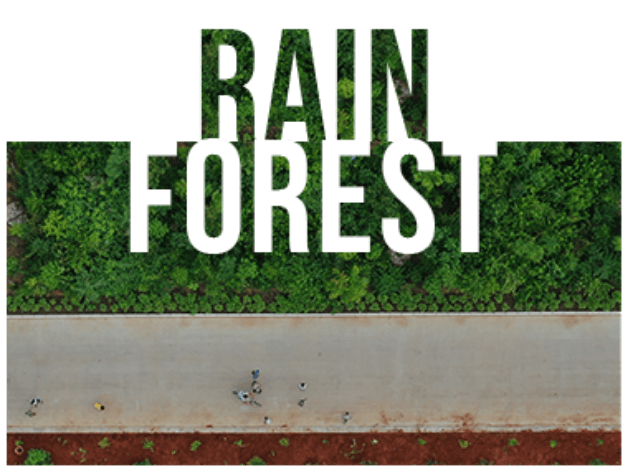 rain forest