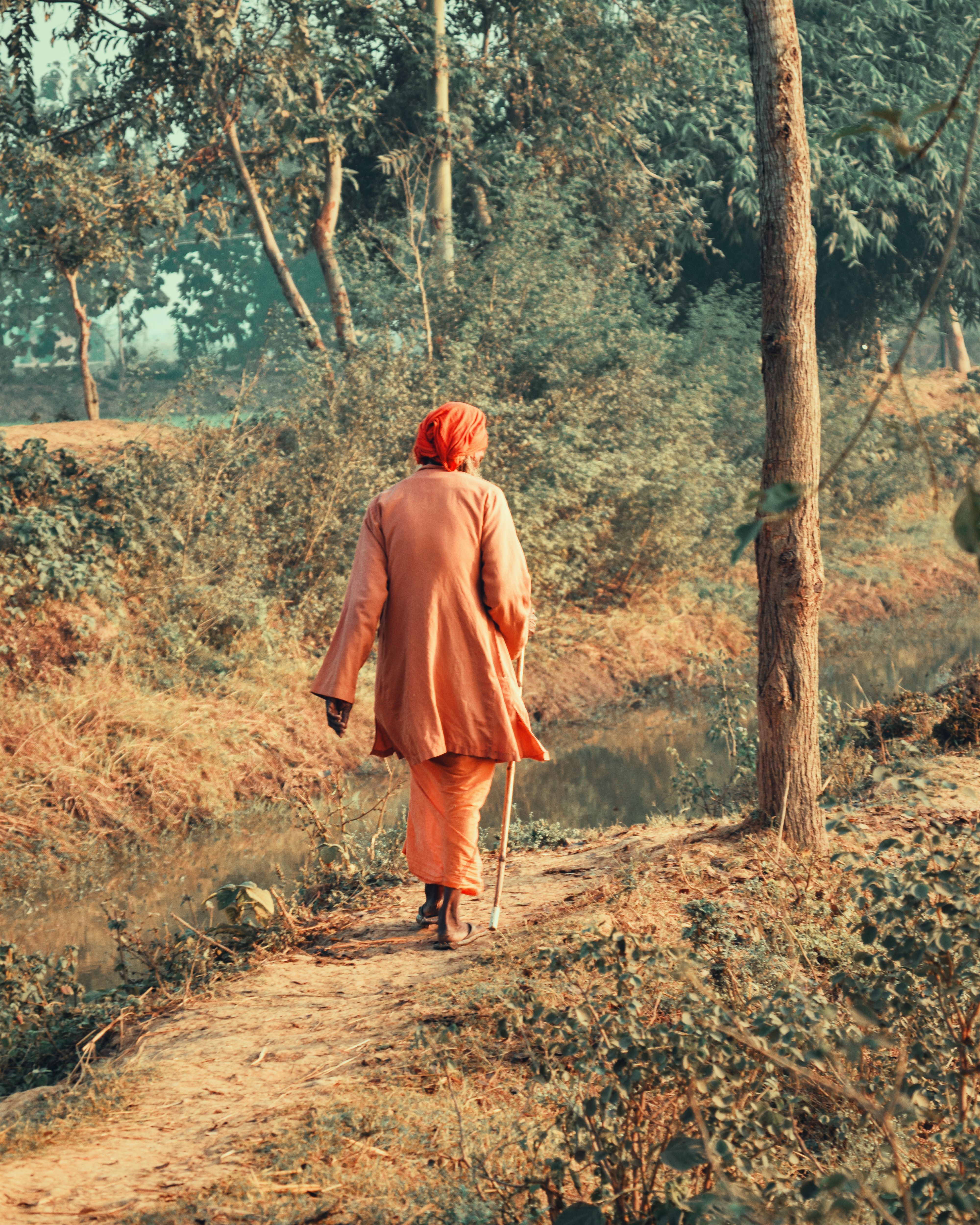 Vanishing sacred forests of Vraj