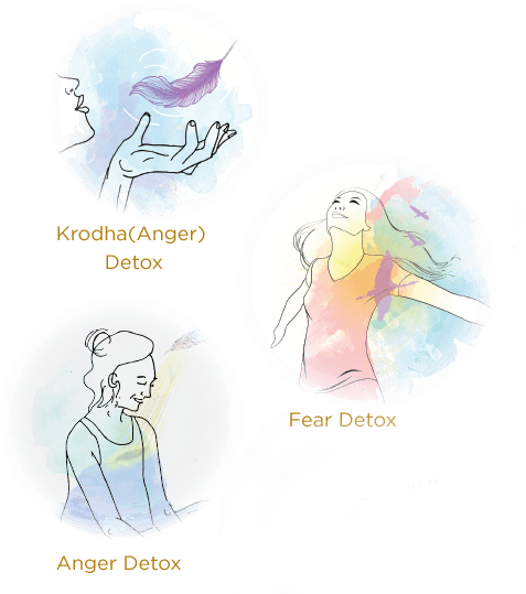 practice-detox-images.png