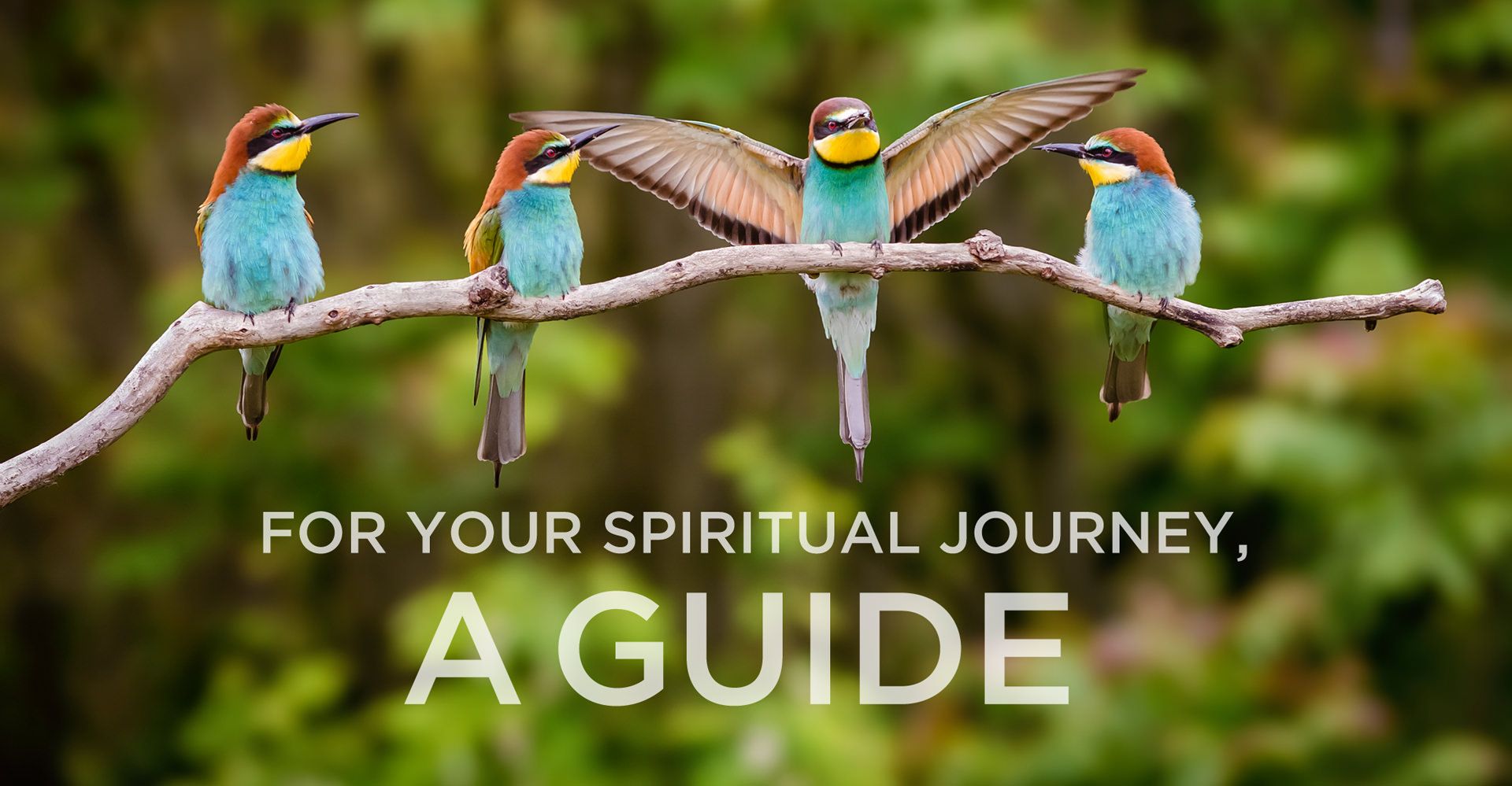 spiritual-journey-daaji.jpg